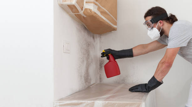 Professional Mold Remediation technician working in Hamburg, PA