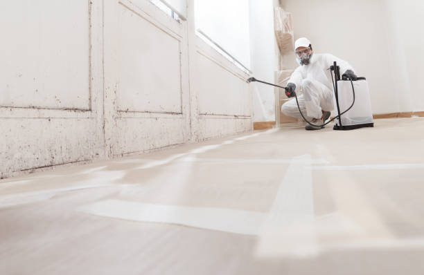 24/7 Emergency Mold Remediation experts in Hamburg, PA